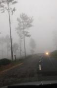 Top Vagamon