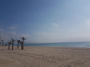 Top Alicante