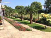 Top Star Dojran