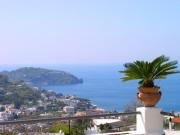 Top Ischia