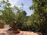 Top Sant Francesc Xavier