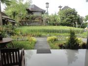 Top Ubud