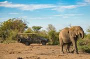 Top Madikwe Game Reserve Top Madikwe Game Reserve