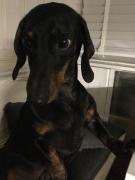 Top Nideggen Top Nideggen