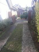 Cabañas Mister Nelson