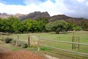 Top Montagu