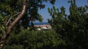 Top Senj