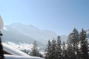 Top Adelboden