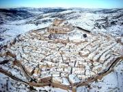 Top Morella