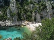 Top Cassis