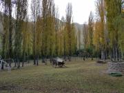 Top San Agustín de Valle Fértil