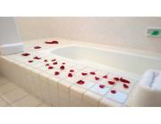 Top Cuernavaca Top Cuernavaca