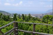 Top Salerno