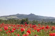 Top Castiglione dʼOrcia