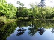 Top Varengeville-sur-Mer