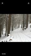 Top Panorama Heights