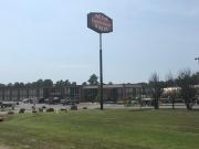Top Greenwood