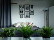 Top Castiglion Fibocchi