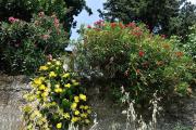 Apartman Svilno