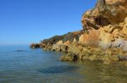 Top Punta Braccetto