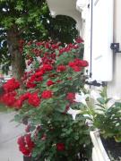 Rose Garden Apartment Bovec