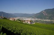 Top Appiano sulla Strada del Vino