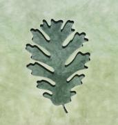 Top Villanueva de la Vera