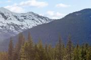 Top Girdwood Top Girdwood