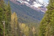 Top Girdwood Top Girdwood