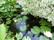 Top Hannoversch Münden