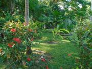 Top Bocas del Toro