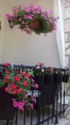 Top Stari Grad