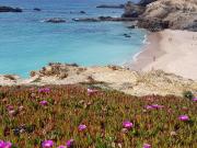 Top Porto Covo Top Porto Covo