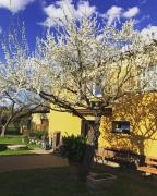 Top Náchod Top Náchod