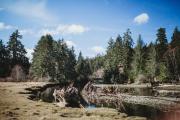 Top Port Hardy