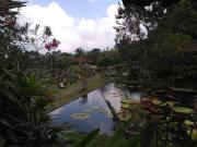 Top Tirtagangga