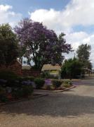 Top Wodonga