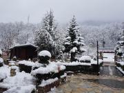 Top Tirana