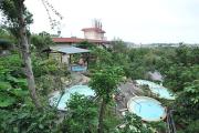 Top Wanli