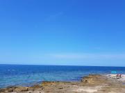 Top Umag