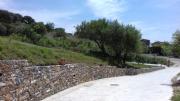 Top Caprioli