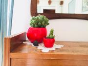 Top Palermo Top Palermo