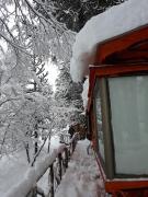 Top Malalcahuello Top Malalcahuello