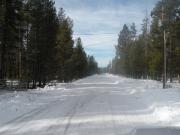 Top La Pine