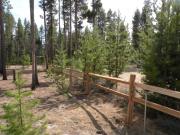 Top La Pine