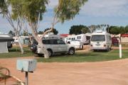 Top Carnarvon