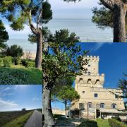 Top Scerne Top Scerne