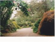 Top Salies-de-Béarn