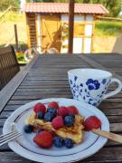 Top Barkocin Top Barkocin