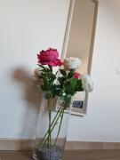 Top Santa Cruz de la Palma